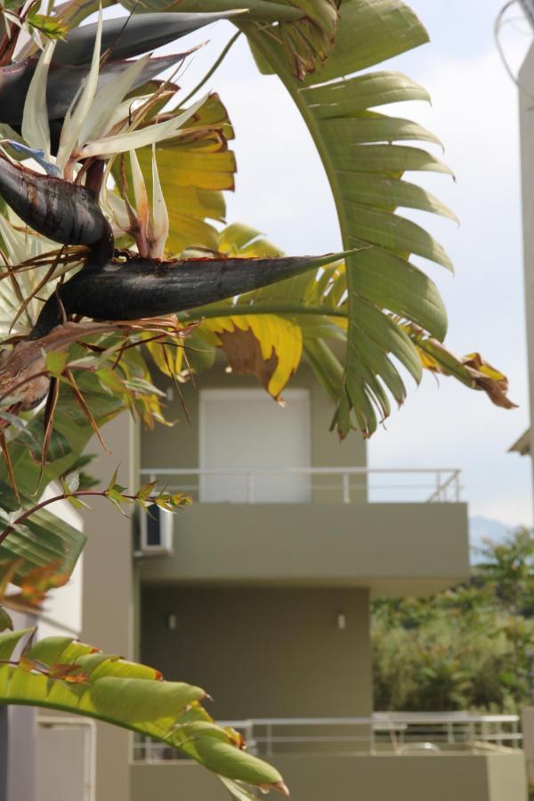Kamares Apts - Antonis Cozy Maisonette Chania  Luaran gambar